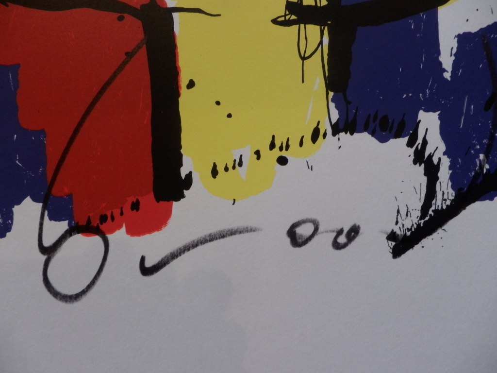 HERMAN BROOD, Gelimiteerde en HANDGESIGNEERDE Zeefdruk  BRASIL GOD kopen? Bied vanaf 79!