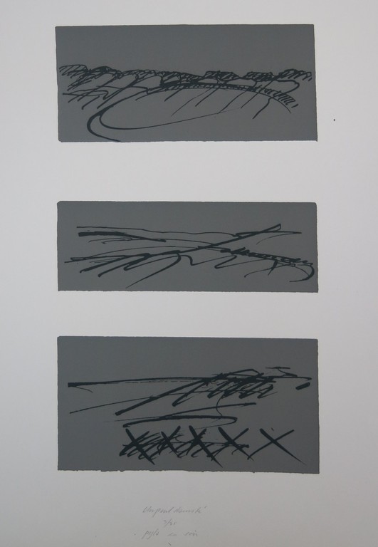 Paul Damste: Zeefdruk, Pyla en soir kopen? Bied vanaf 1!