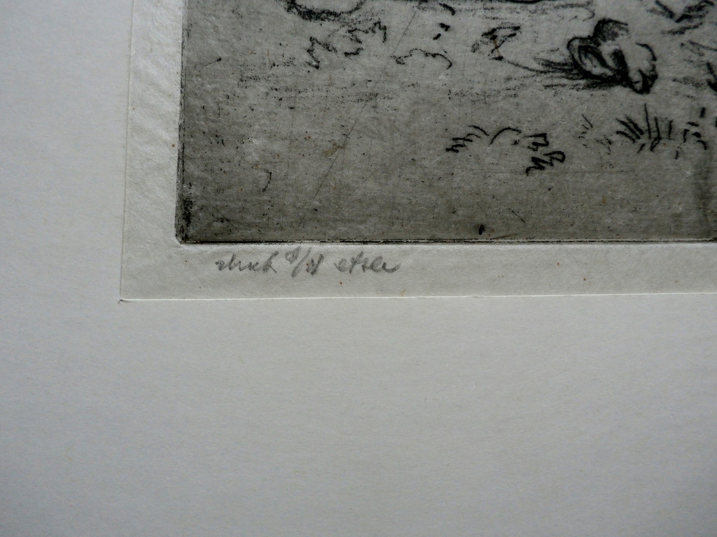 Dick van Luijn (de Luis) - ets: Schelp kopen? Bied vanaf 40!