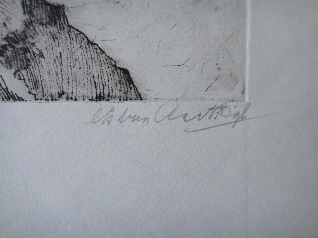 Aart Bijl, ets, jongenskopje kopen? Bied vanaf 1!