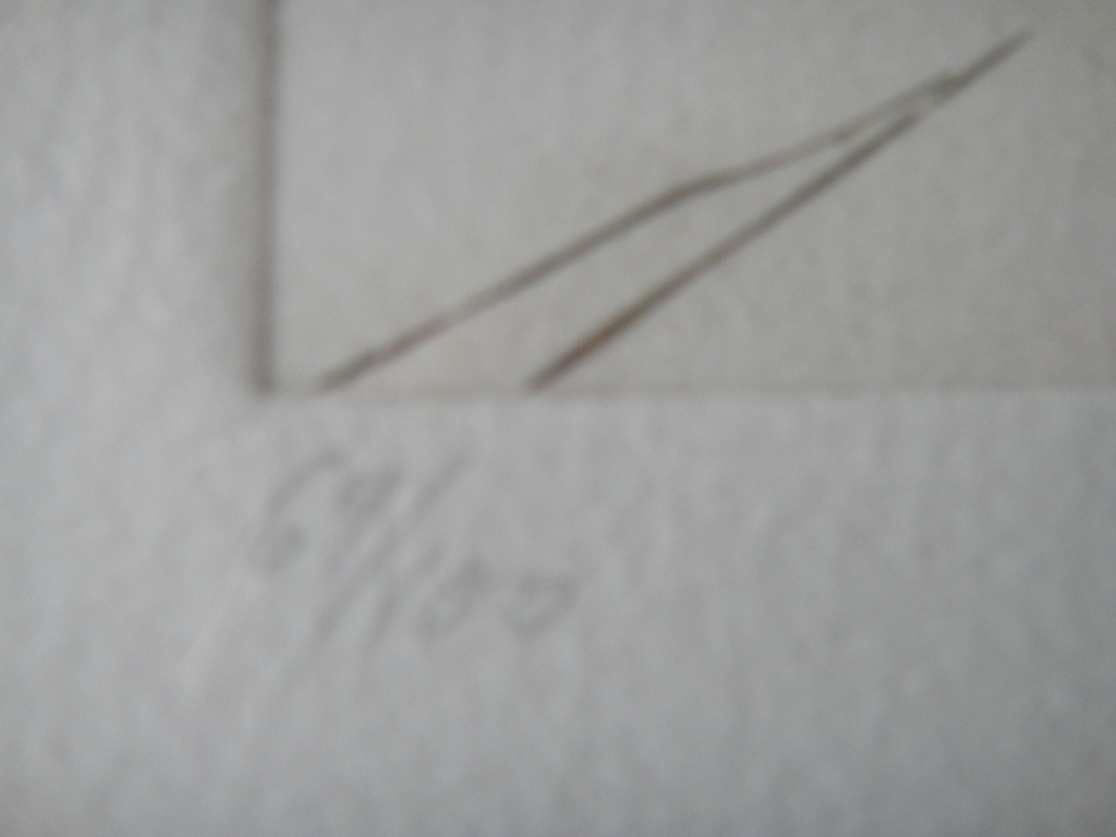 Kemal Sirbegovic, ets, " l'eté " kopen? Bied vanaf 1!