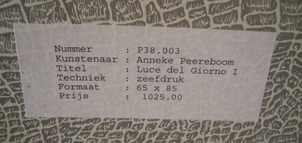 Zeefdruk ANNEKE PEEREBOOM -LUCE DEL GIORNO 1 -85 X 65 CM kopen? Bied vanaf 50!