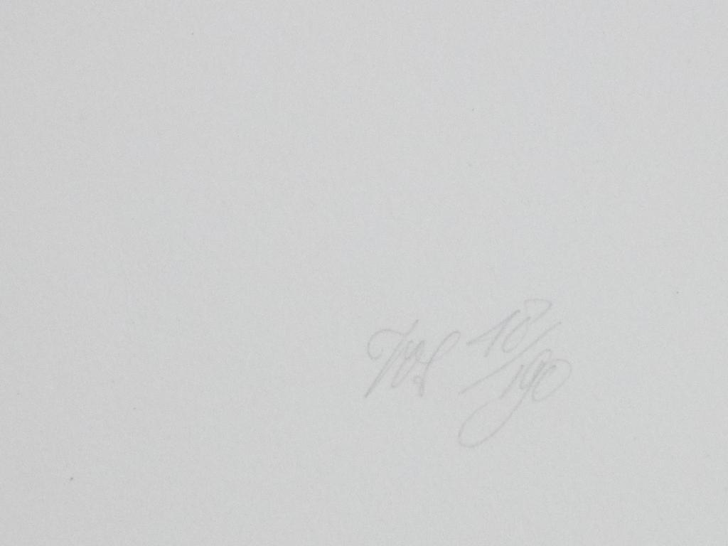 Peter Vos, Gevoelens, Litho kopen? Bied vanaf 100!