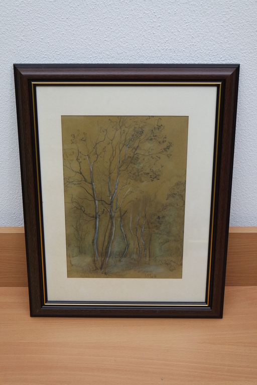 Sientje Mesdag van Houten (1834 - 1909) - gemengde techniek - studie van bomen verkocht voor € 170!