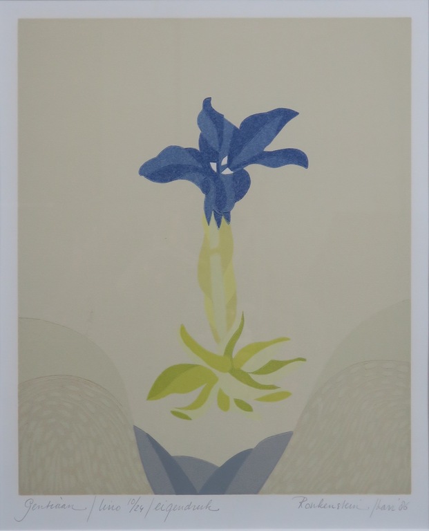 Harr Scheffer: Lino, Gentiaan - Ingelijst kopen? Bied vanaf 20!