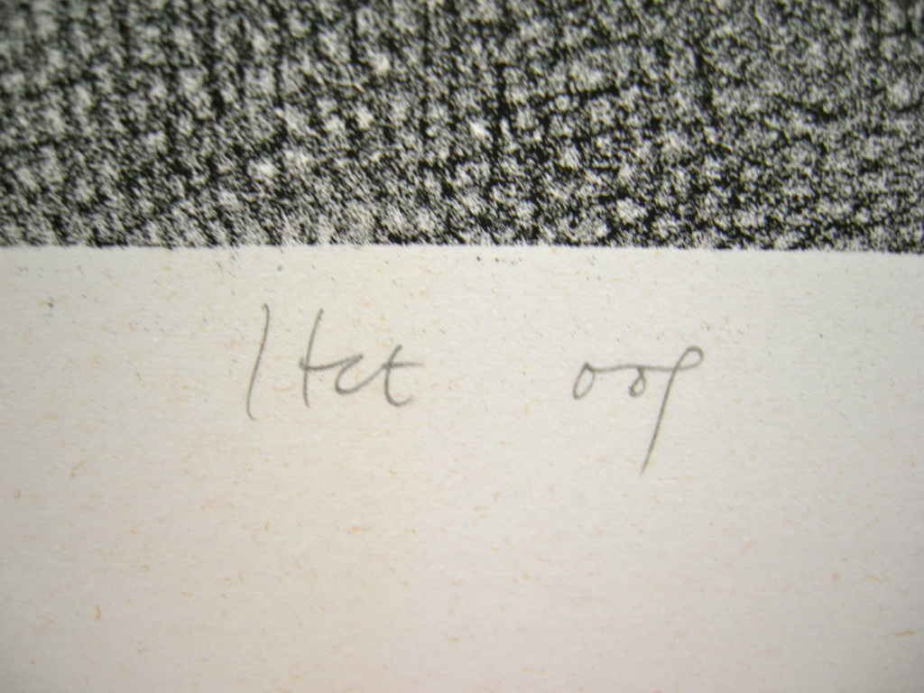 Henk van der Haar, litho, Het oog kopen? Bied vanaf 40!