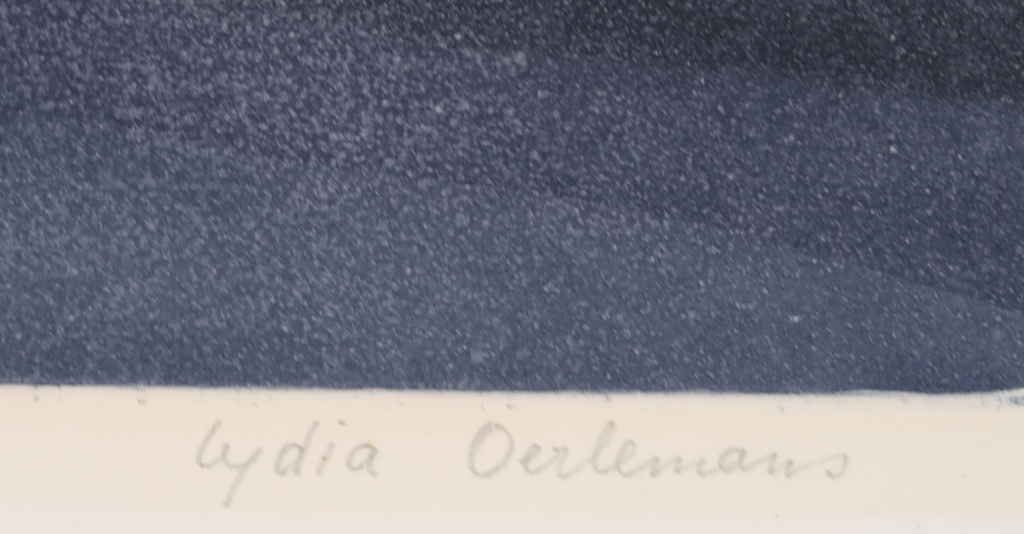 Lydia Oerlemans: Ets en aquatint, Zonder titel kopen? Bied vanaf 40!