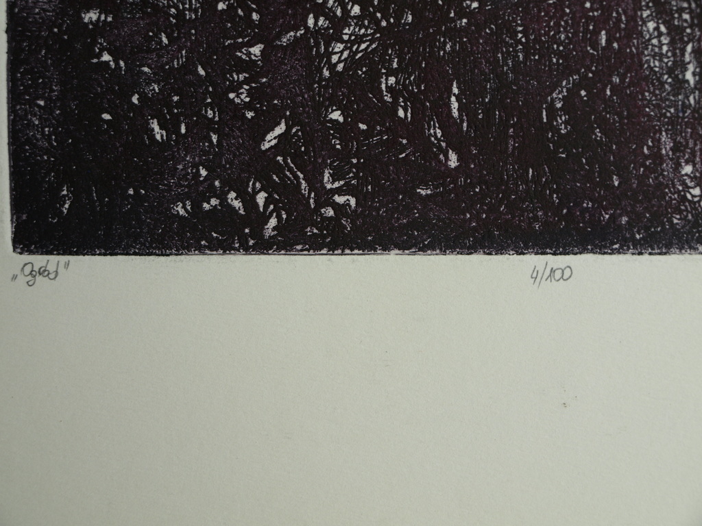 Onbekende kunstenaar : Ets – Titel: Ogdod – 2003/2004 – 49 x 21 cm  kopen? Bied vanaf 1!