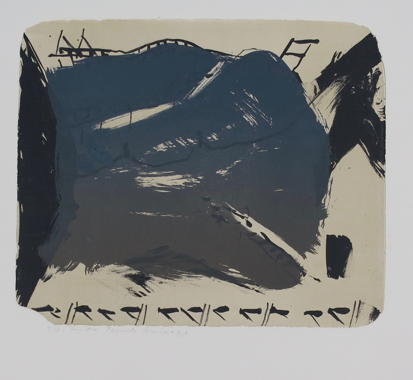 Theo Elfrink: Litho, Ternils (...) kopen? Bied vanaf 1!