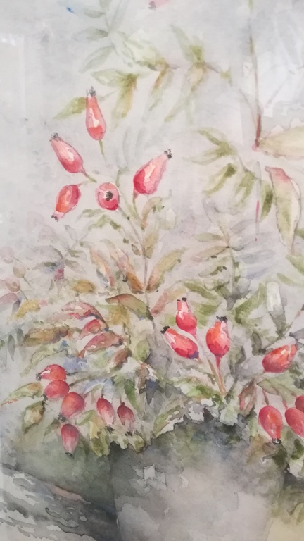 Jan Goselinck - aquarel - Rozenbottel kopen? Bied vanaf 55!