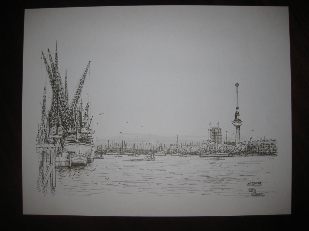Ongenummerde afdruk van een tekening van Meeuw van Rotterdam - Gezicht op Rotterdam kopen? Bied vanaf 1!