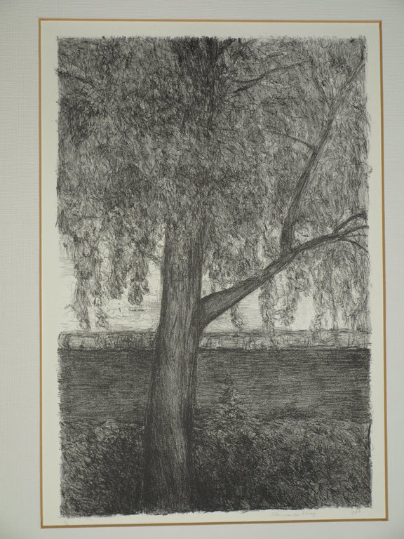 Eileen van der Schaaf – Litho – Boom – Gesigneerd - 1973 - Ingelijst 63 x 88 cm kopen? Bied vanaf 1!