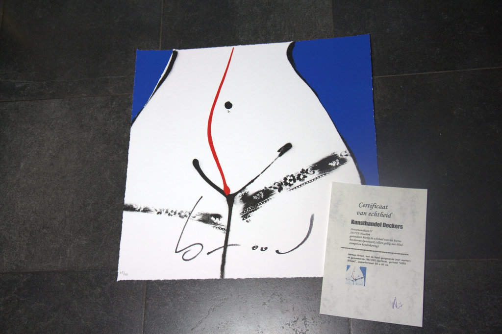 Herman Brood, grote zeefdruk HIPS - 48/100 - handgesigneerd met certificaat kopen? Bied vanaf 225!
