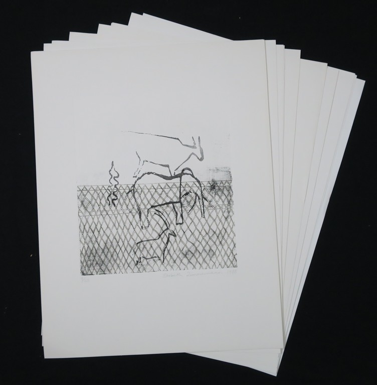 Elsbeth Zimmerman: Lot met 15 etsen en aquatint, Fear of elephants kopen? Bied vanaf 1!