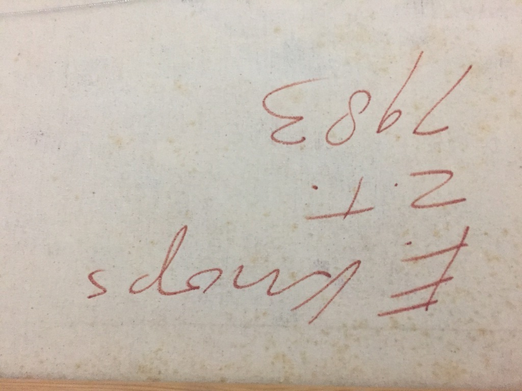 EGIDIUS KNOPS  z.t. 1983 acryl/olieverf op doek. Met boek. kopen? Bied vanaf 1!