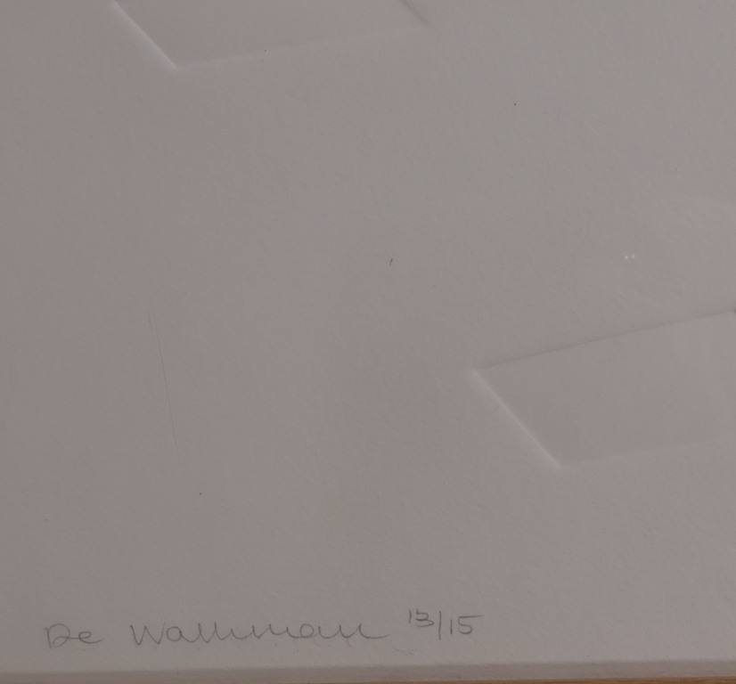 Annemiek Vera: Blinddruk, De Walkman - Ingelijst (Zeer groot) kopen? Bied vanaf 70!