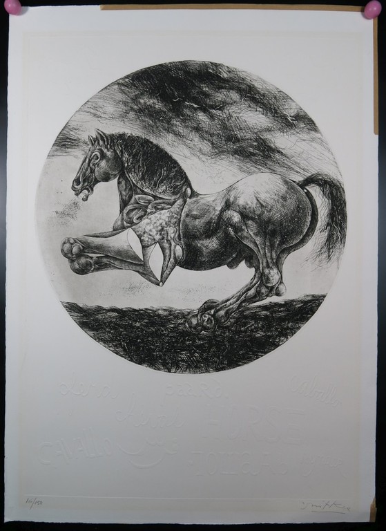 Willem Snitker: Ets, blinddruk, Paard  kopen? Bied vanaf 1!