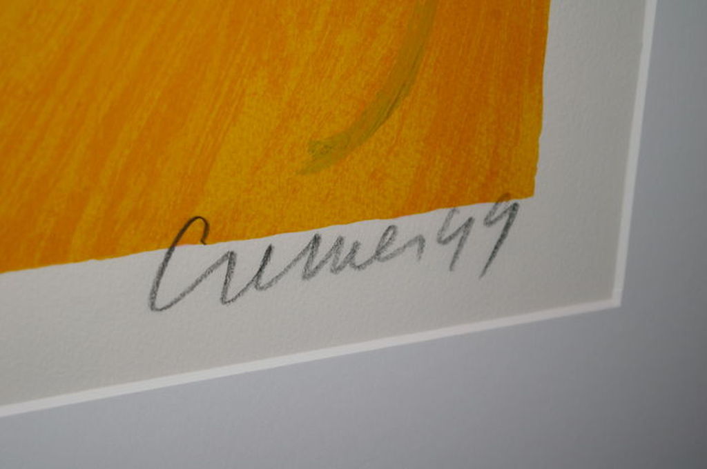 'Tulips 99' - gesigneerde zeefdruk - oplage 200 ex. - 1999 kopen? Bied vanaf 1!