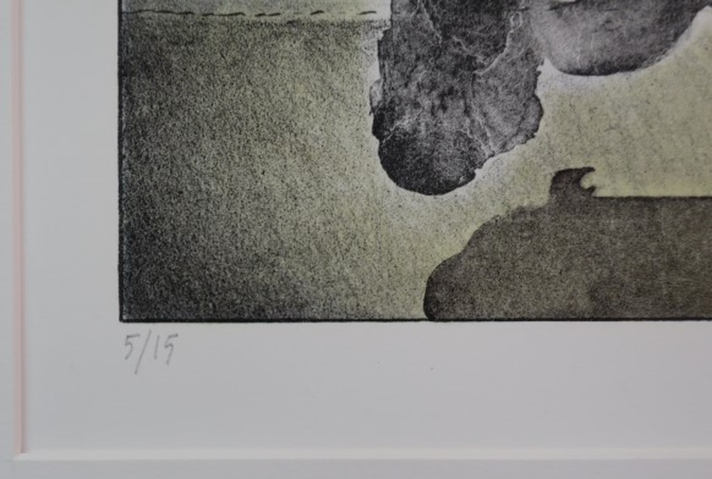 Jurjen Ravenhorst: Litho, Boom en drie manen kopen? Bied vanaf 40!