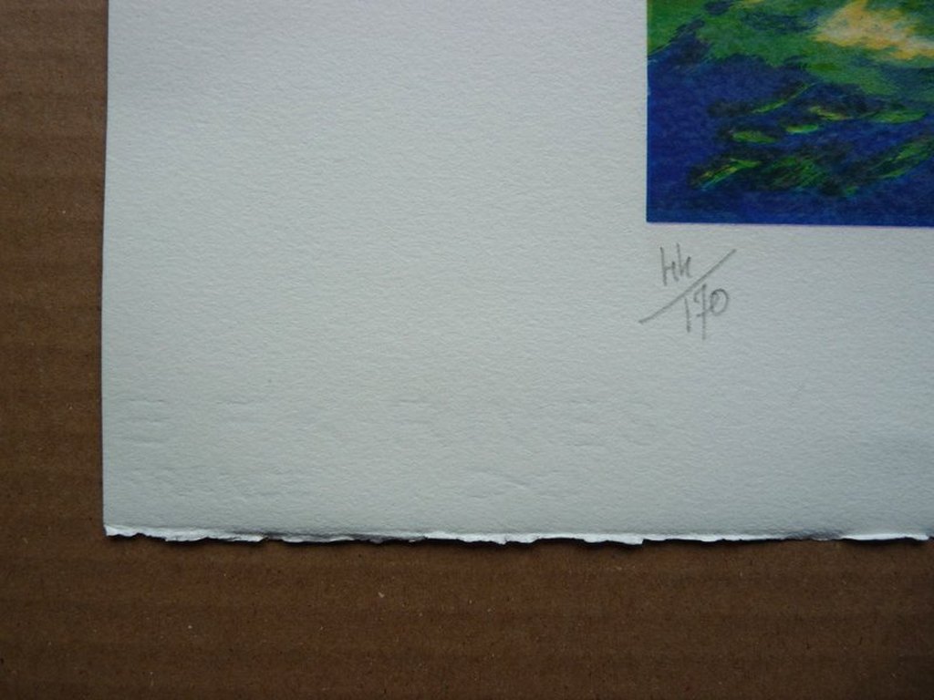 Jean Fernand (1948), lithografie, gesigneerd, oplage 170 kopen? Bied vanaf 1!