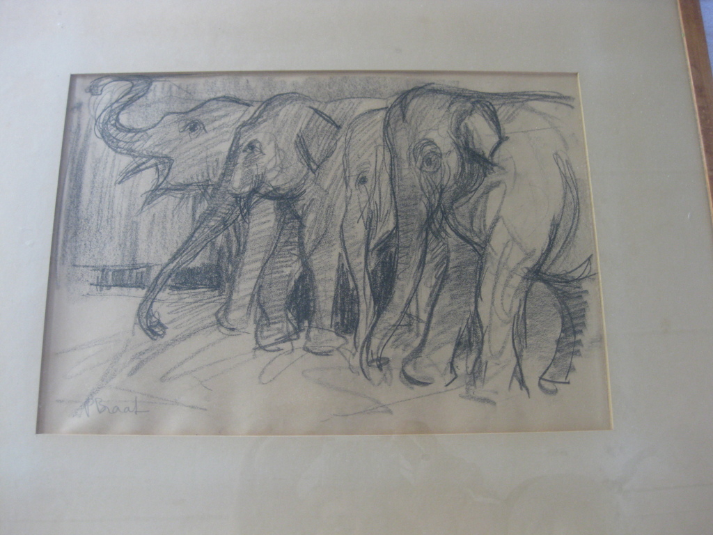Pauline Braat - olifanten in de dierentuin - tekening verkocht voor € 50!