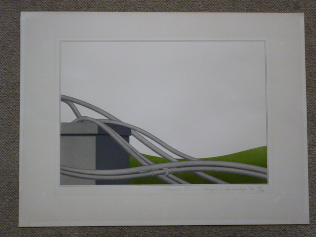 Marinus Fuit - kleurenlitho - Slangen in landschap kopen? Bied vanaf 60!