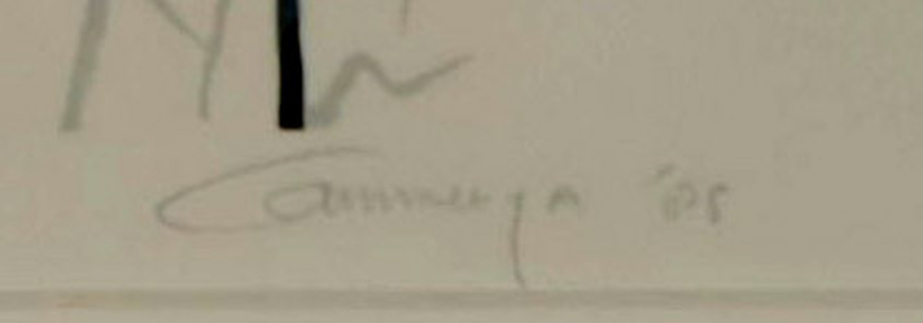 Edith Cammenga: Zeefdruk, De dode schaatster - Ingelijst kopen? Bied vanaf 1!