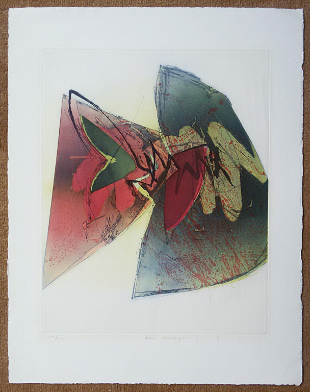 Hans Vredegoor - Harmonisch abstract, ets kopen? Bied vanaf 35!