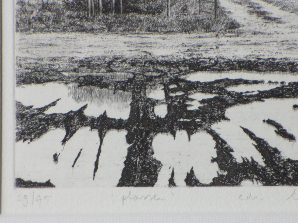 Wim van der Meij, Plassen, Ets kopen? Bied vanaf 1!