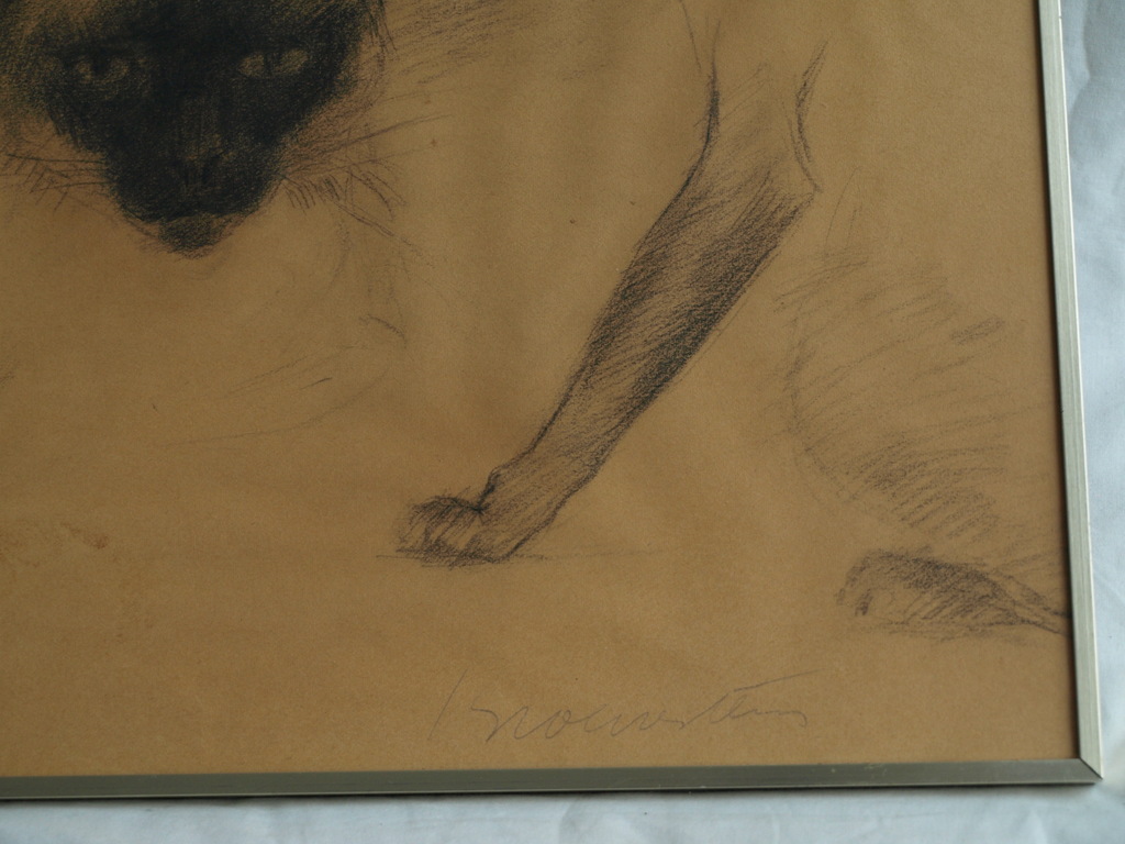 Jan Groenestein : Tekening , KAT – gesigneerd & ingelijst – ca 1960 kopen? Bied vanaf 75!