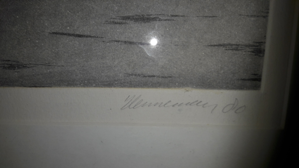 Jeroen Henneman , boot . GESIGNEERD! kopen? Bied vanaf 80!