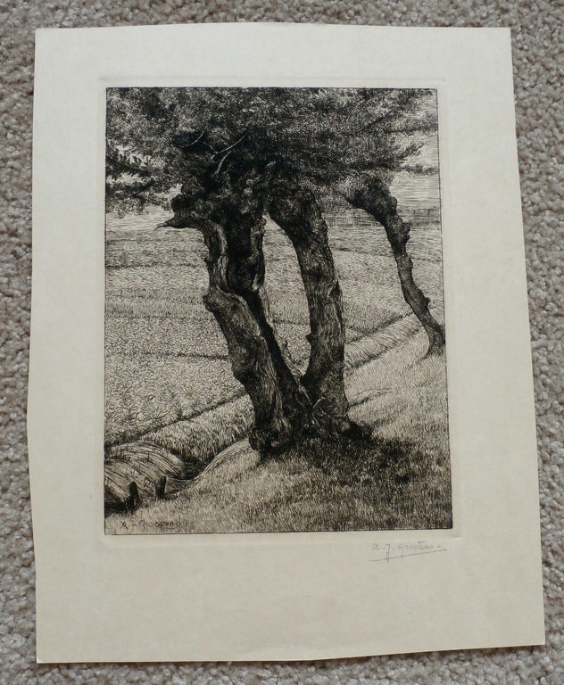 Adrianus Johannes Grootens - Ets:  bomen kopen? Bied vanaf 45!