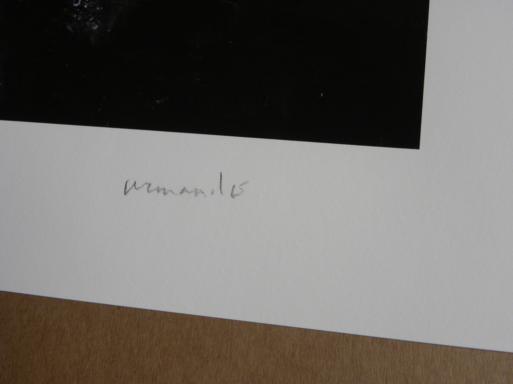 Armando - Landschaft - Giclee - Gesigneerde multiple - 2016 kopen? Bied vanaf 150!