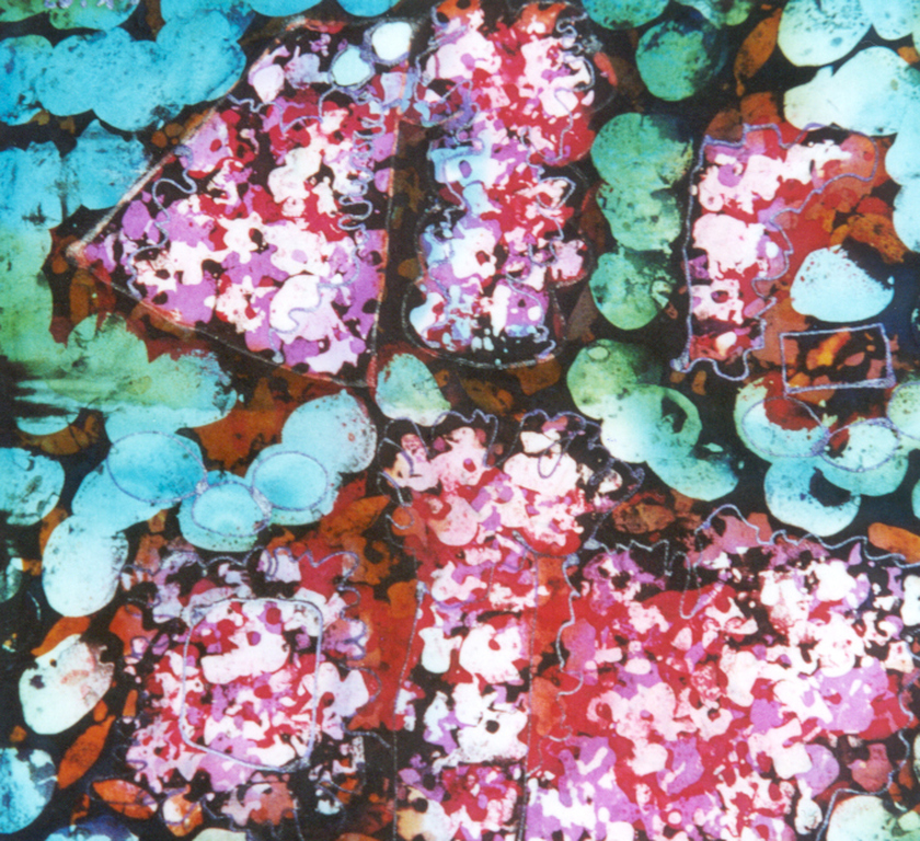 Feelings I en II - Will Kellermann - Silkcolor(c) kopen? Bied vanaf 200!