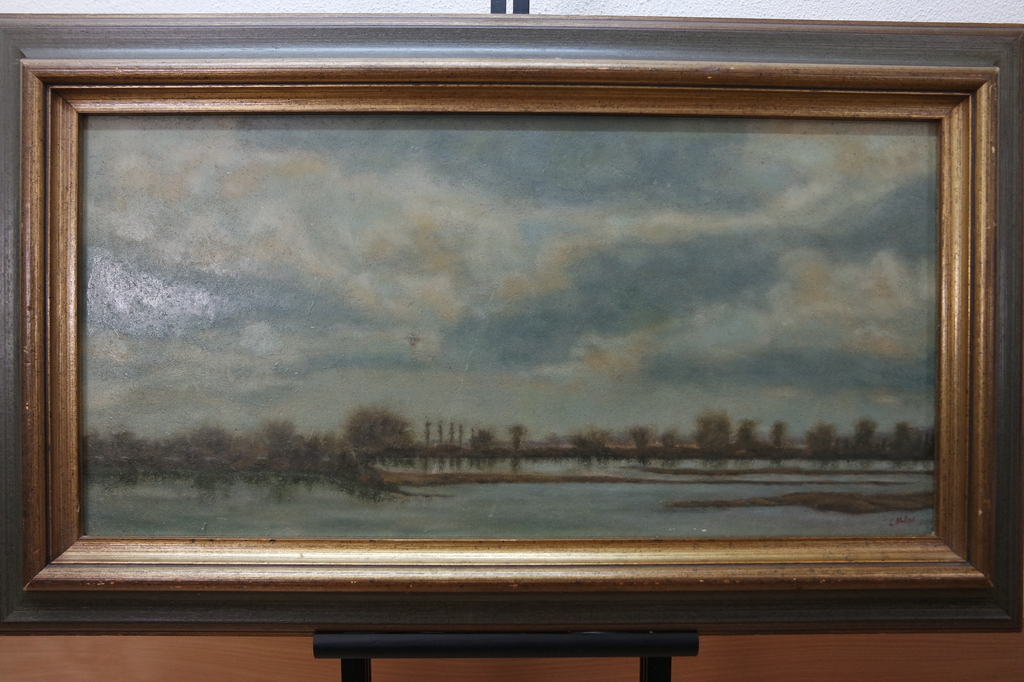 Hollandse school: olieverf op paneel , rivierlandschap verkocht voor € 95!