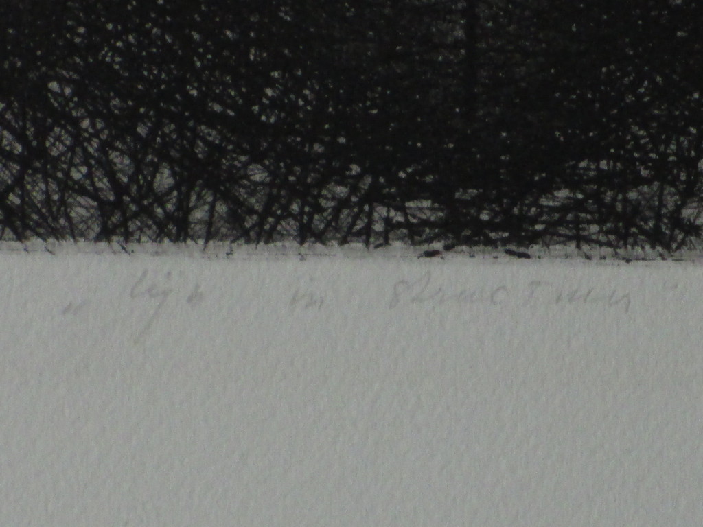 Ko Oosterkerk, Lijn in Structuur, Ets kopen? Bied vanaf 60!