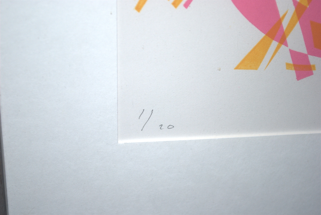 kavel van 2: litho 1/20 en aquarel - gesigneerd kopen? Bied vanaf 45!