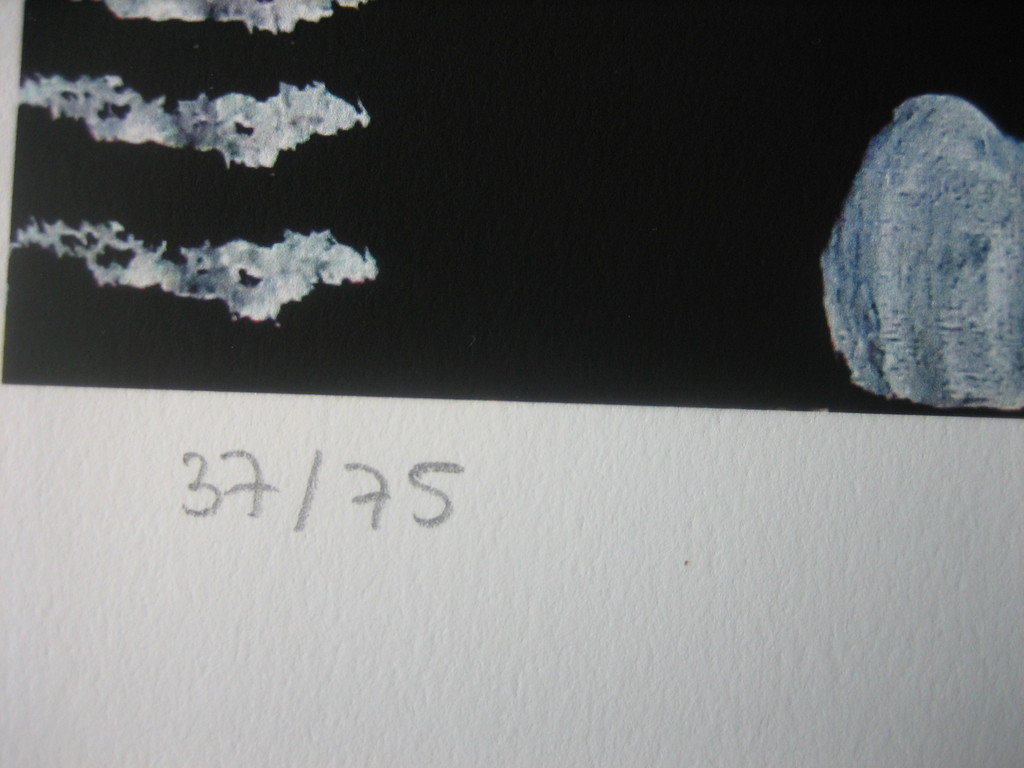 Paul Kostabi - We own this - Giclee - Handgesigneerd - Oplage: 75 - 2014 kopen? Bied vanaf 45!