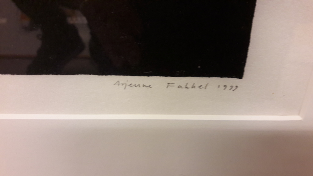 Arjenne Fakkel , nat konijn ,gesigneerd  kopen? Bied vanaf 35!
