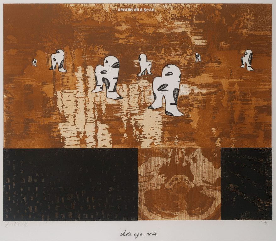 Gijs van Noort: Ets, Dreams on a scan - Ingelijst kopen? Bied vanaf 40!