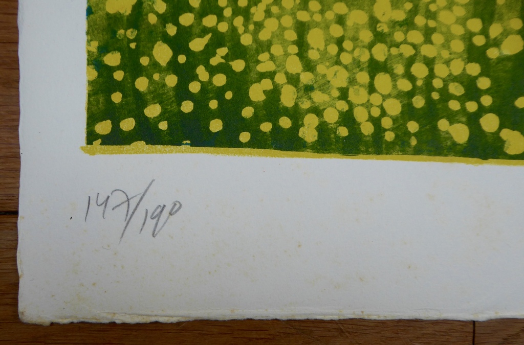Kleuren litho van Jan Cremer uit 1976 kopen? Bied vanaf 1!