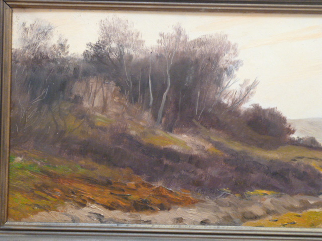 H.M.Savrij - olieverf - Duinlandschap kopen? Bied vanaf 90!