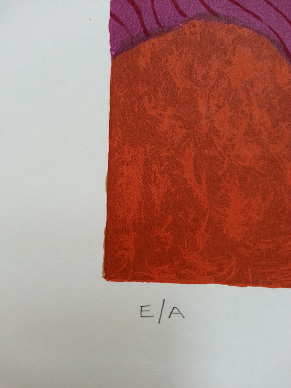 Ronald Boonacker, zeefdruk op papier, Titel; "Tanzania II" kopen? Bied vanaf 50!