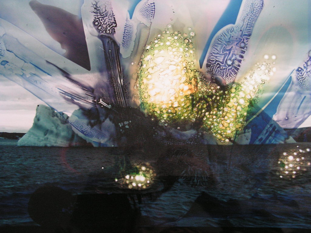 Rob Lengkeek  -  foto  -  'IJSBERG'  bijgevoegd  1 foto. Oplage 10! kopen? Bied vanaf 50!