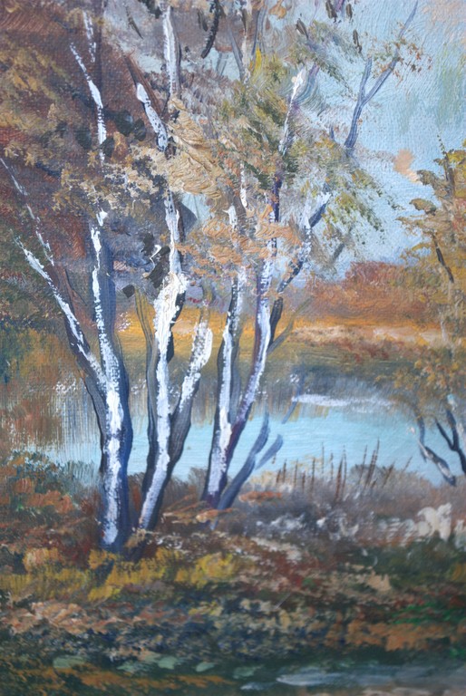 't Gooi - ingelijst olieverf op doek, incl boek kopen? Bied vanaf 1!