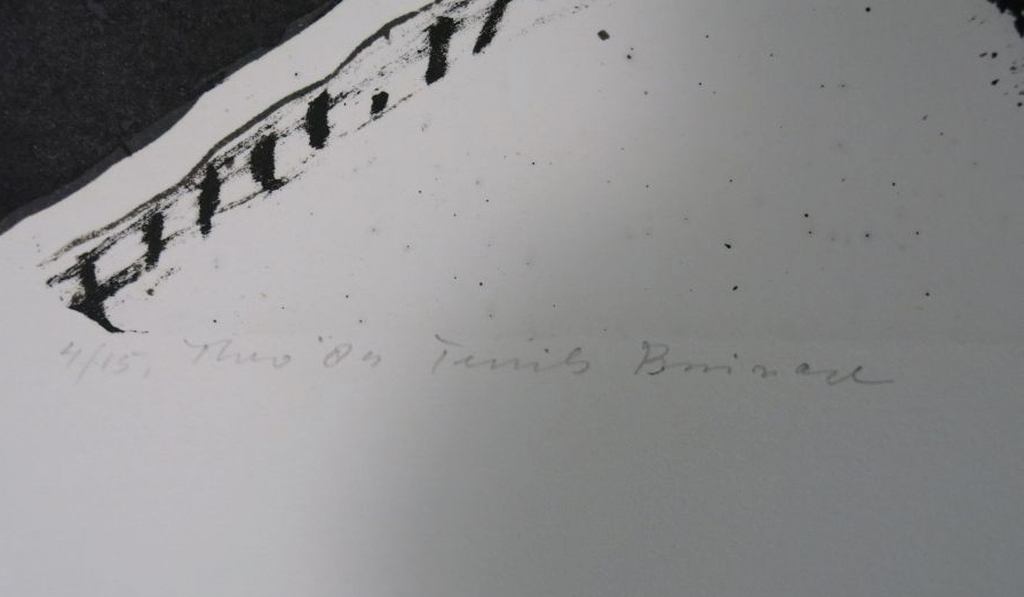 Theo Elfrink: Litho, Ternils.. kopen? Bied vanaf 1!