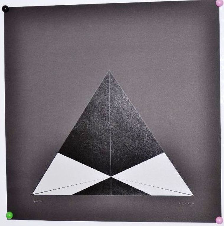 Christian Megert: Zeefdruk. Driehoek in zwart kopen? Bied vanaf 1!