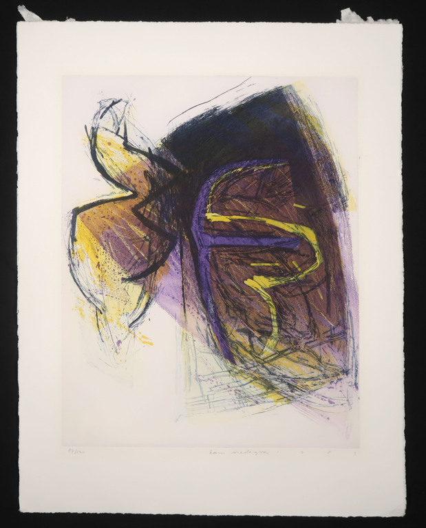 Hans Vredegoor: Ets en aquatint, Z.T.  kopen? Bied vanaf 1!