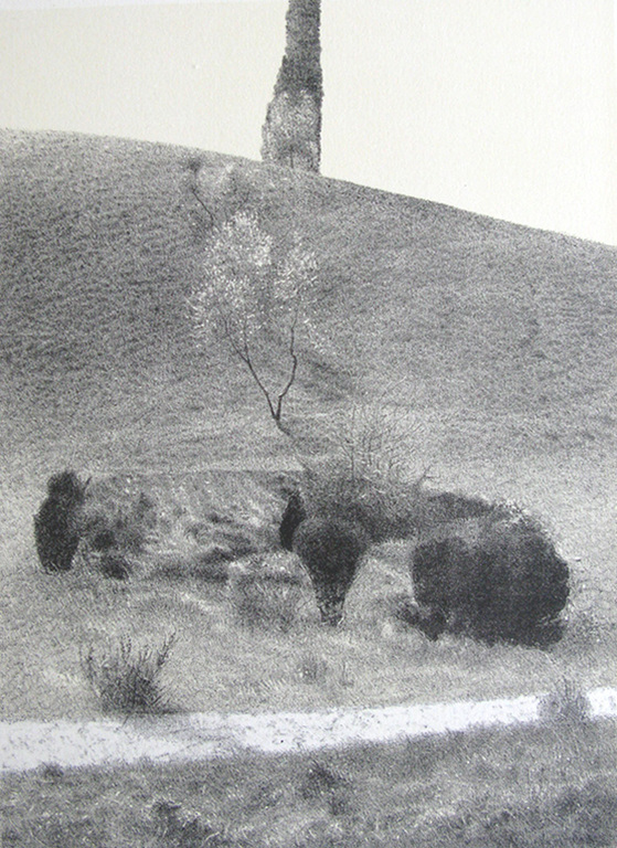 Rodolfo Meli - Zonder Titel - Lithografie kopen? Bied vanaf 1!