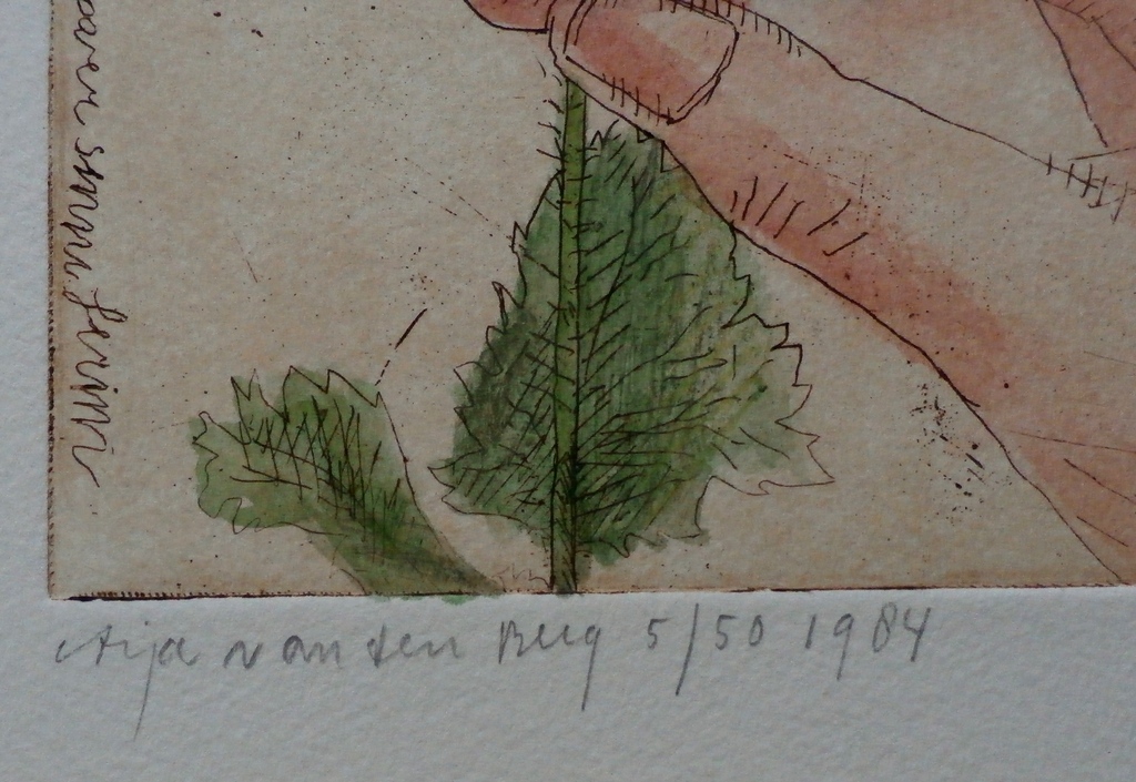 Arja van den Berg - ets: Papaver - 1984 kopen? Bied vanaf 45!
